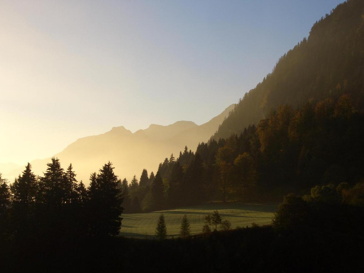 Chalet Edelweiss Διαμέρισμα Pfronten Εξωτερικό φωτογραφία